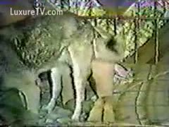 Classic beastiality clip with a wolf and whore